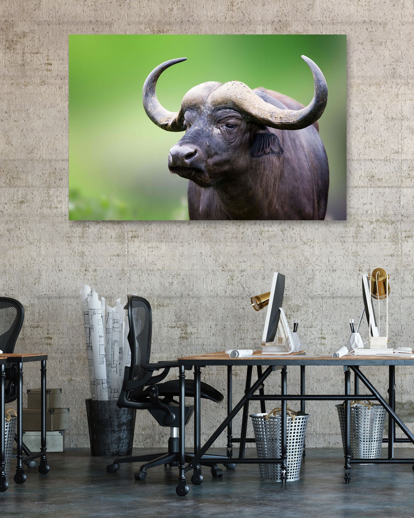 African buffalo Portrait - @chusna