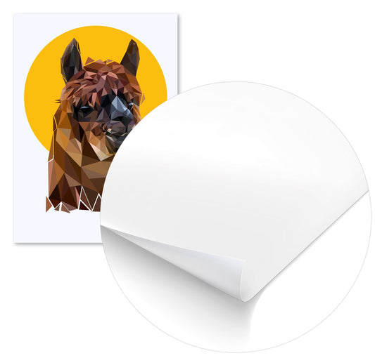 Alpaca nursery  - @Artnesia