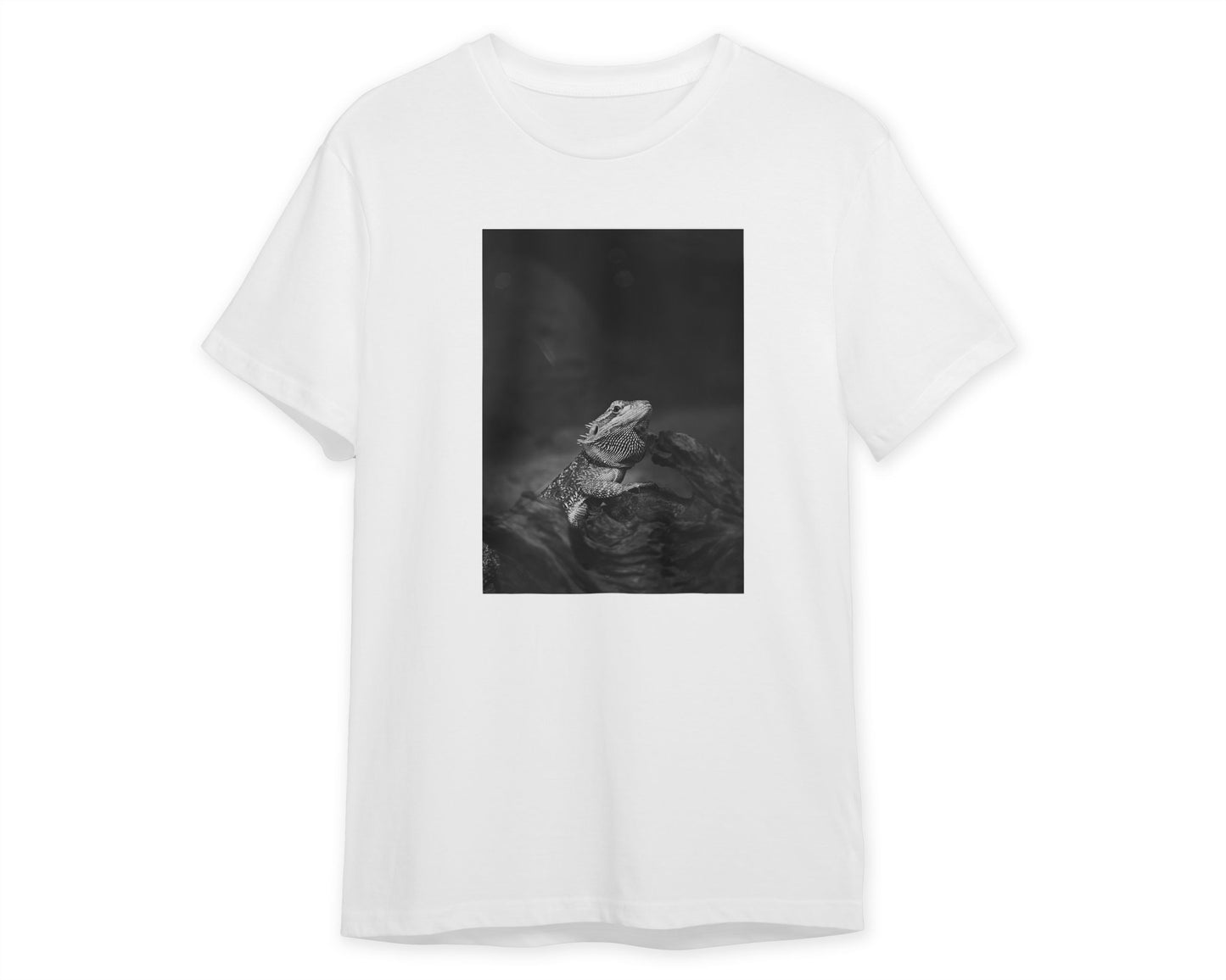 Animal 1061 - @UPGallery