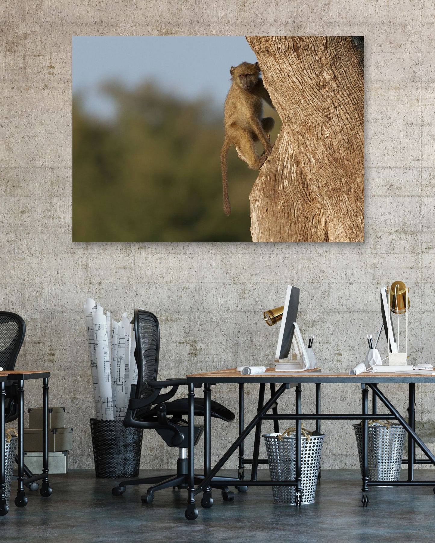 Animal 107 - @UPGallery