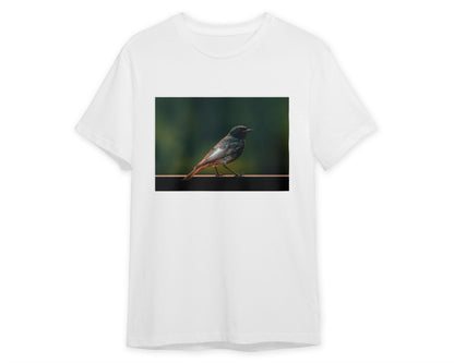 Animal 186 - @UPGallery