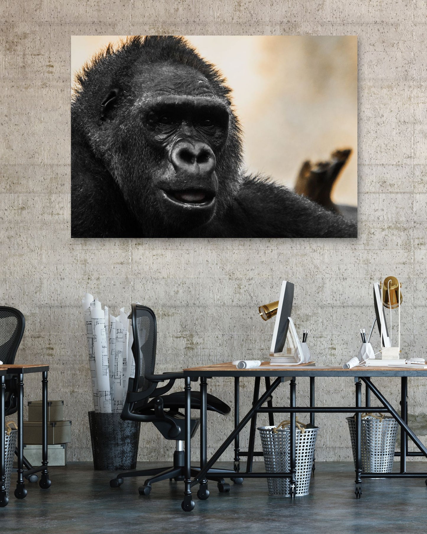 Animal 198 - @UPGallery