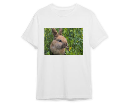 Animal 219 - @UPGallery