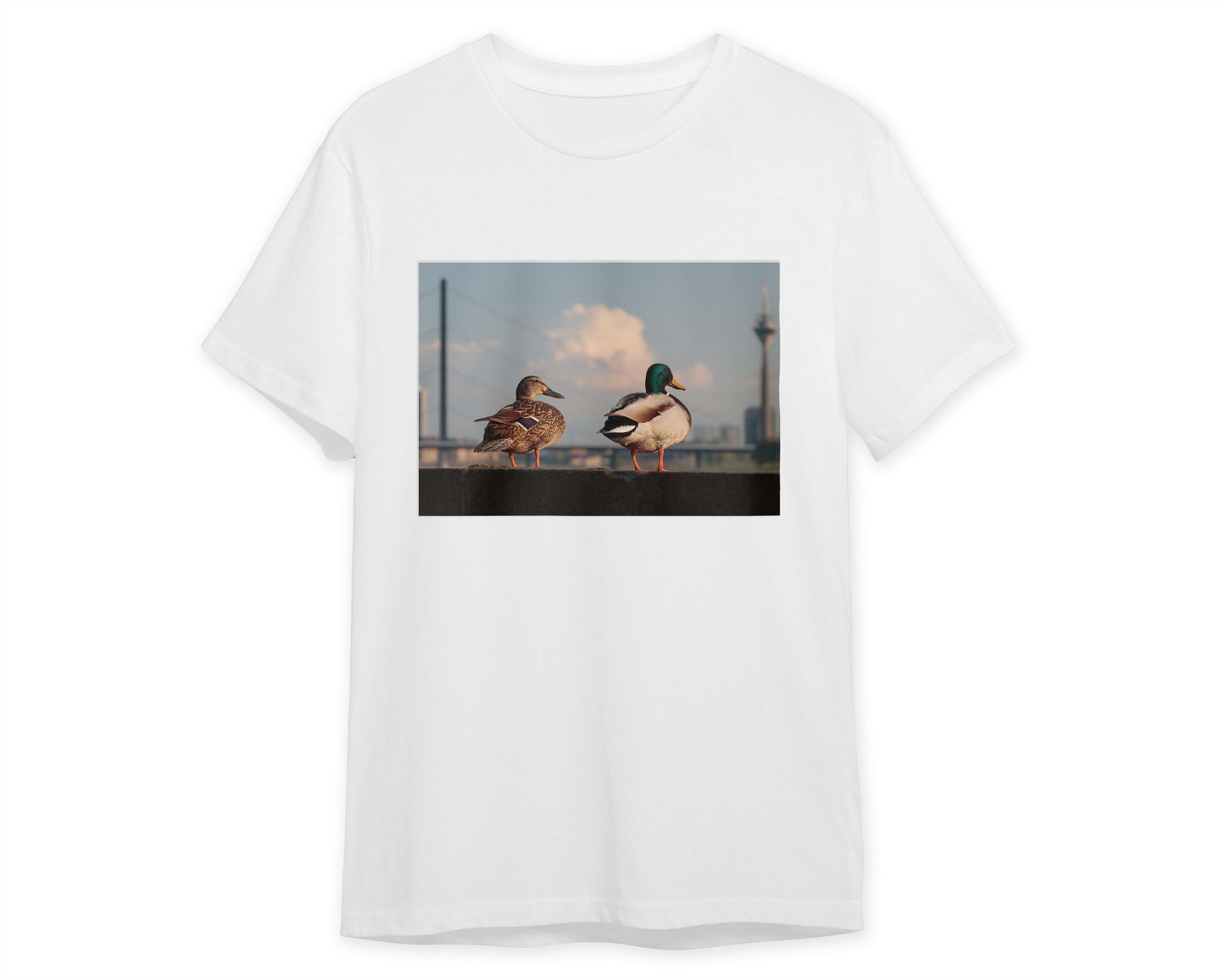 Animal 224 - @UPGallery