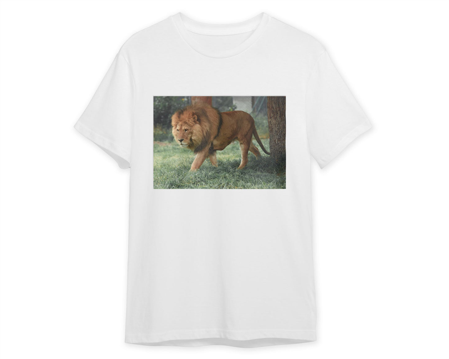 Animal 245 - @UPGallery