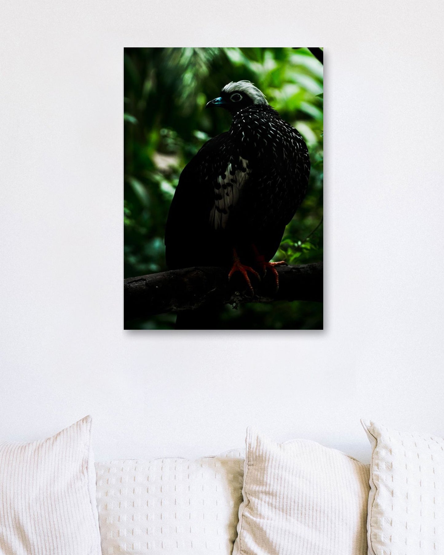 Animal 259 - @UPGallery