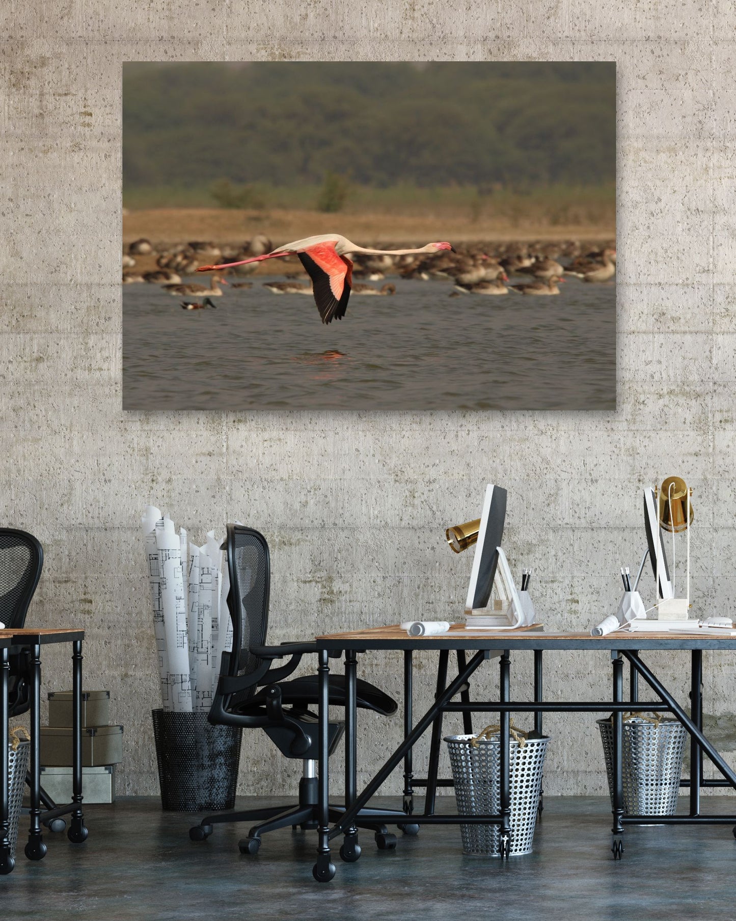 Animal 264 - @UPGallery