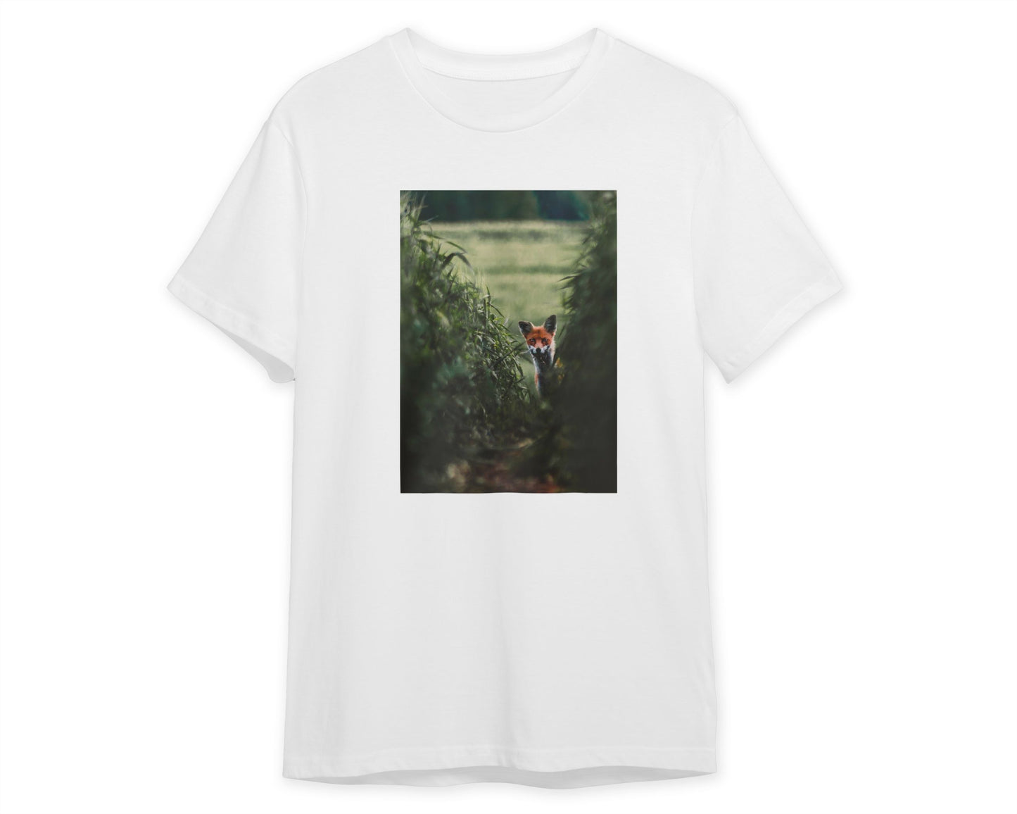 Animal 28 - @UPGallery