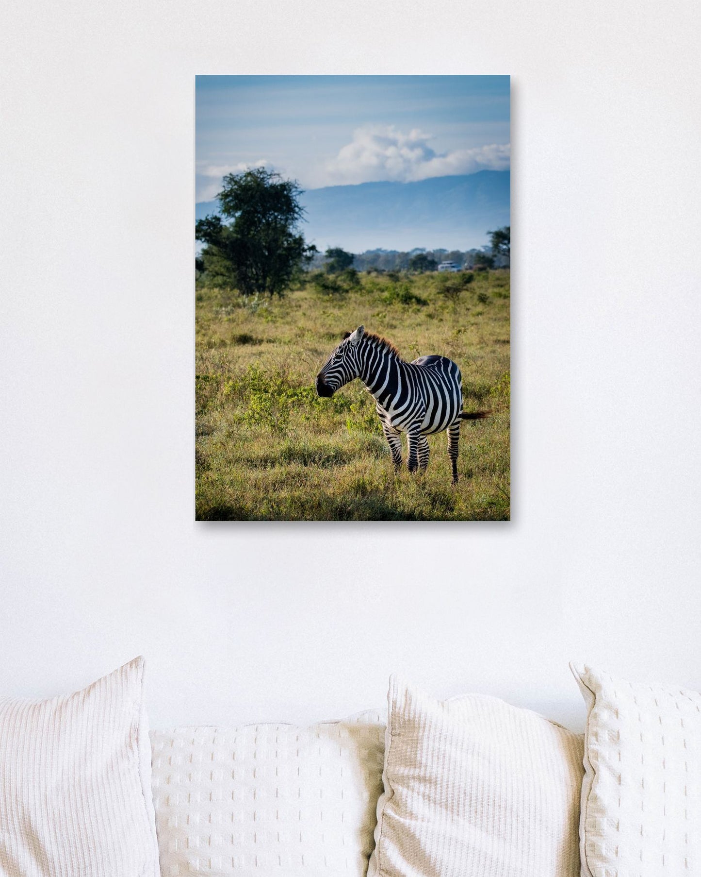 Animal 33 - @UPGallery