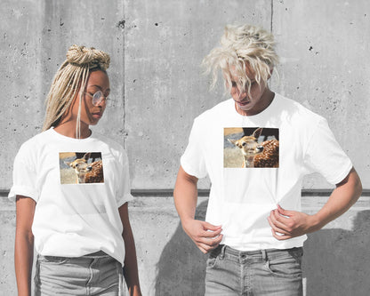 Animal 434 - @UPGallery