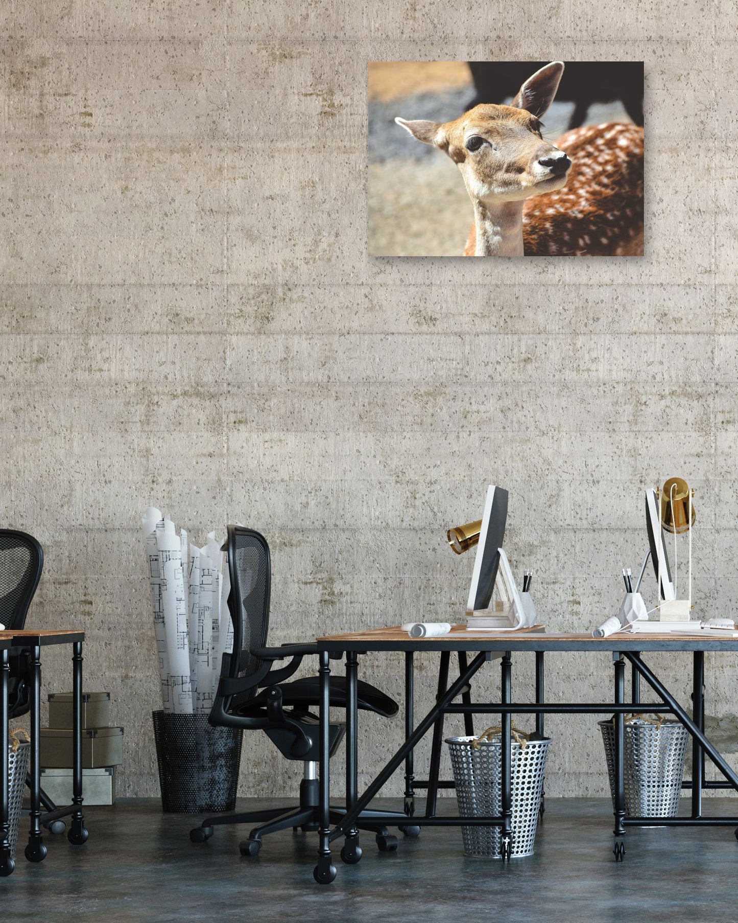 Animal 434 - @UPGallery