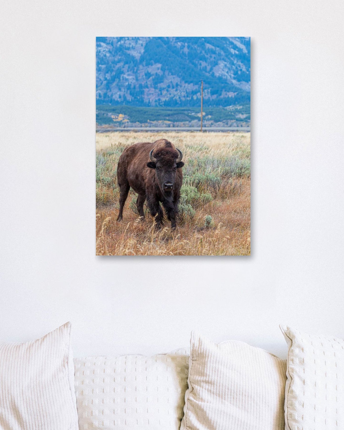 Animal 436 - @UPGallery