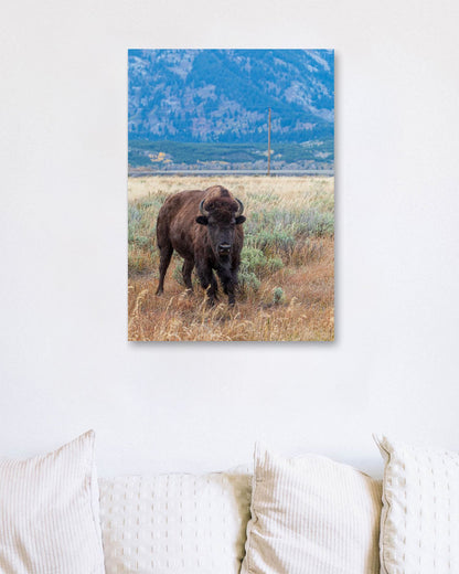 Animal 436 - @UPGallery