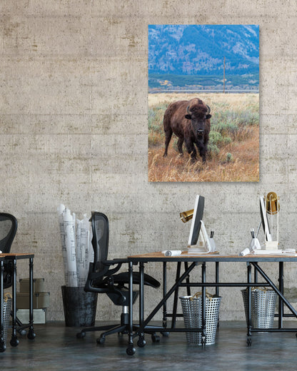 Animal 436 - @UPGallery