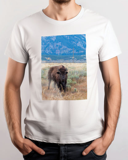 Animal 436 - @UPGallery