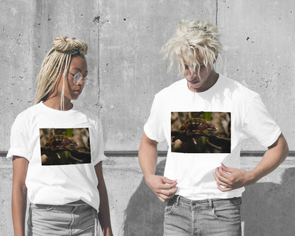 Animal 438 - @UPGallery