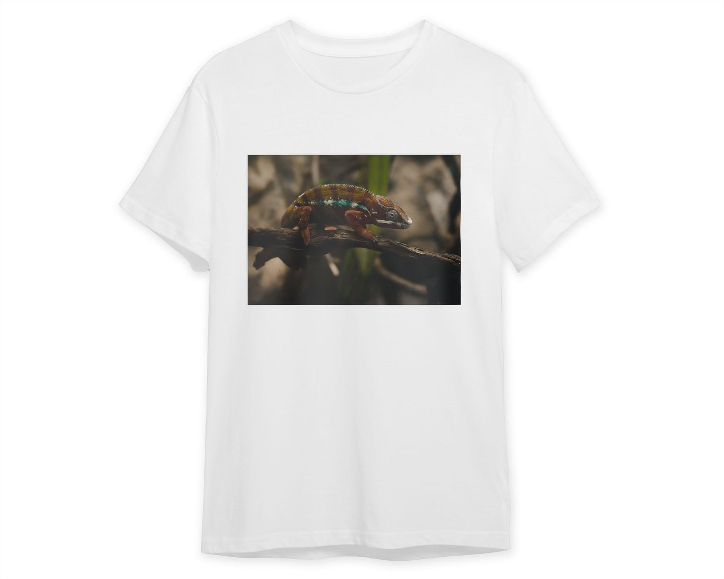 Animal 438 - @UPGallery