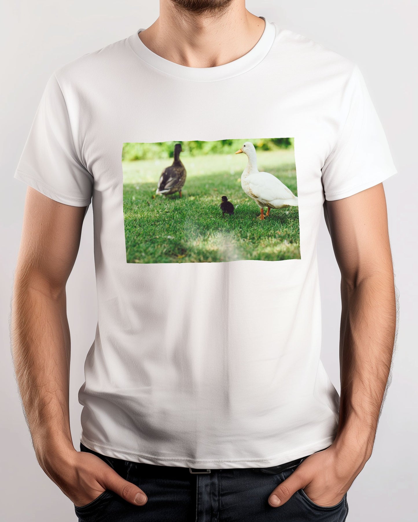 Animal 44 - @UPGallery