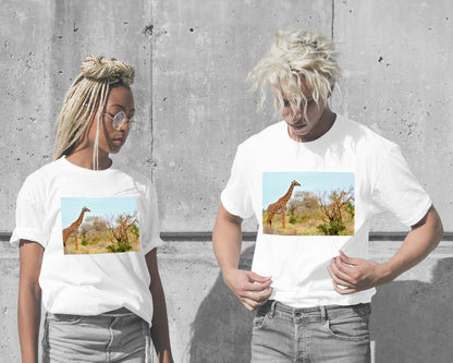 Animal 442 - @UPGallery