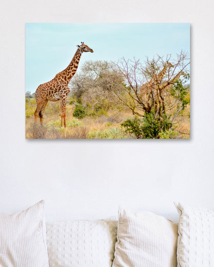 Animal 442 - @UPGallery