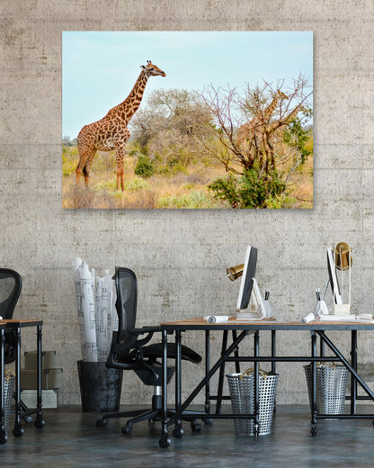 Animal 442 - @UPGallery