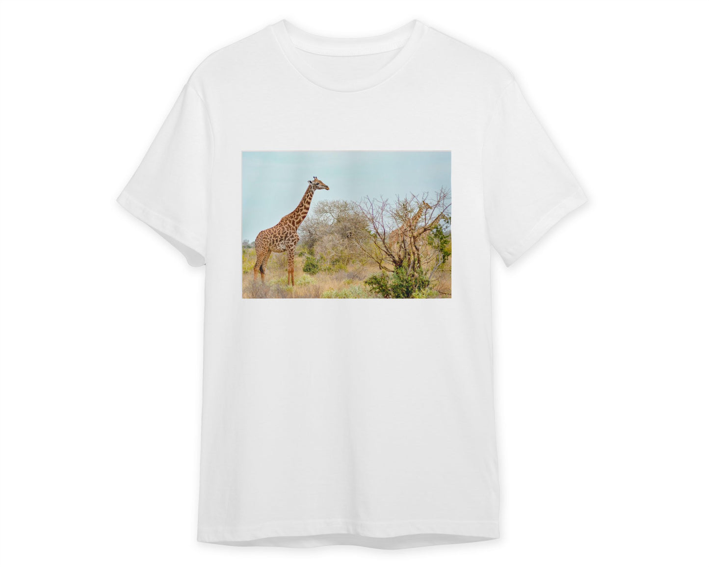 Animal 442 - @UPGallery