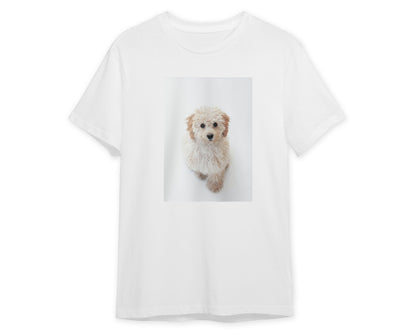 Animal 443 - @UPGallery