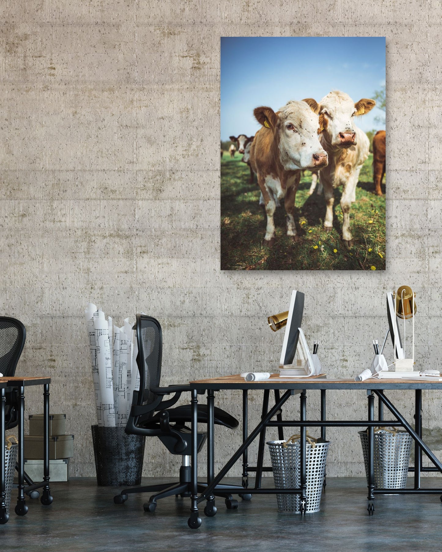 Animal 444 - @UPGallery