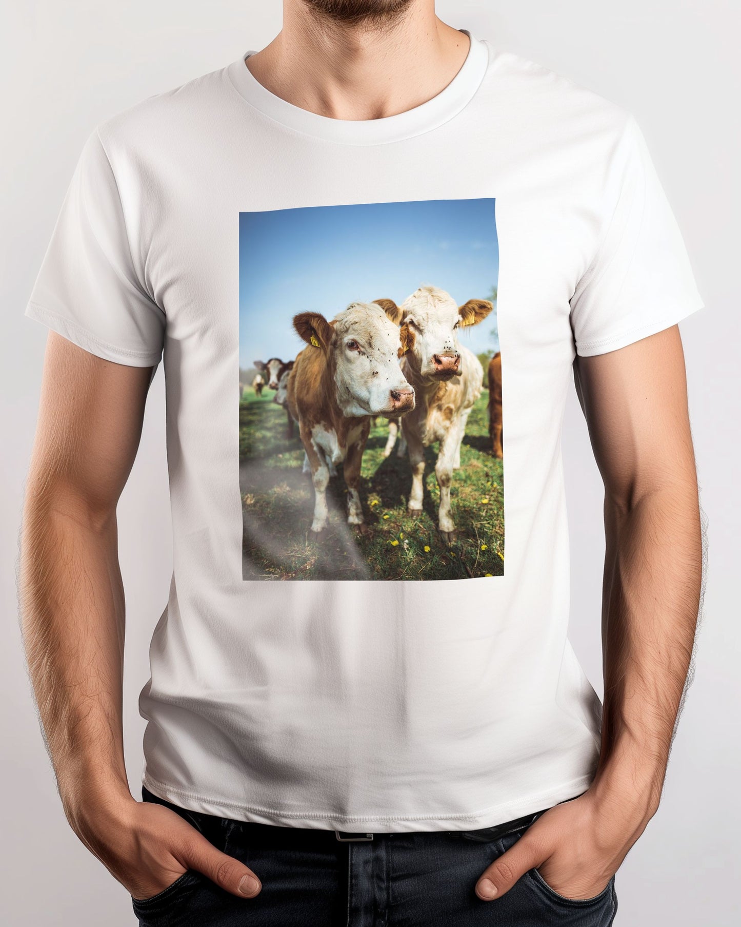 Animal 444 - @UPGallery