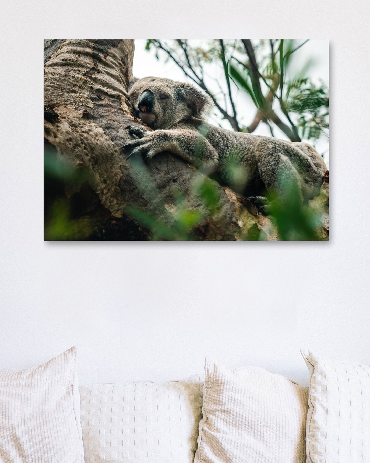 Animal 445 - @UPGallery