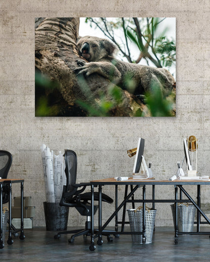 Animal 445 - @UPGallery