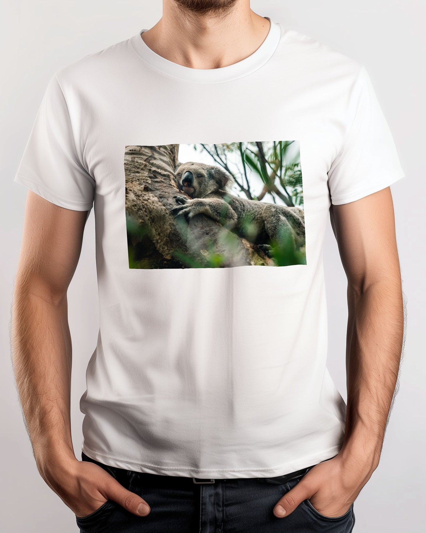 Animal 445 - @UPGallery