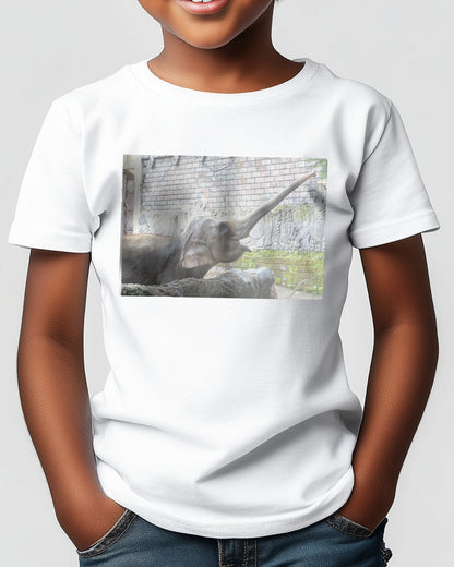 Animal 447 - @UPGallery