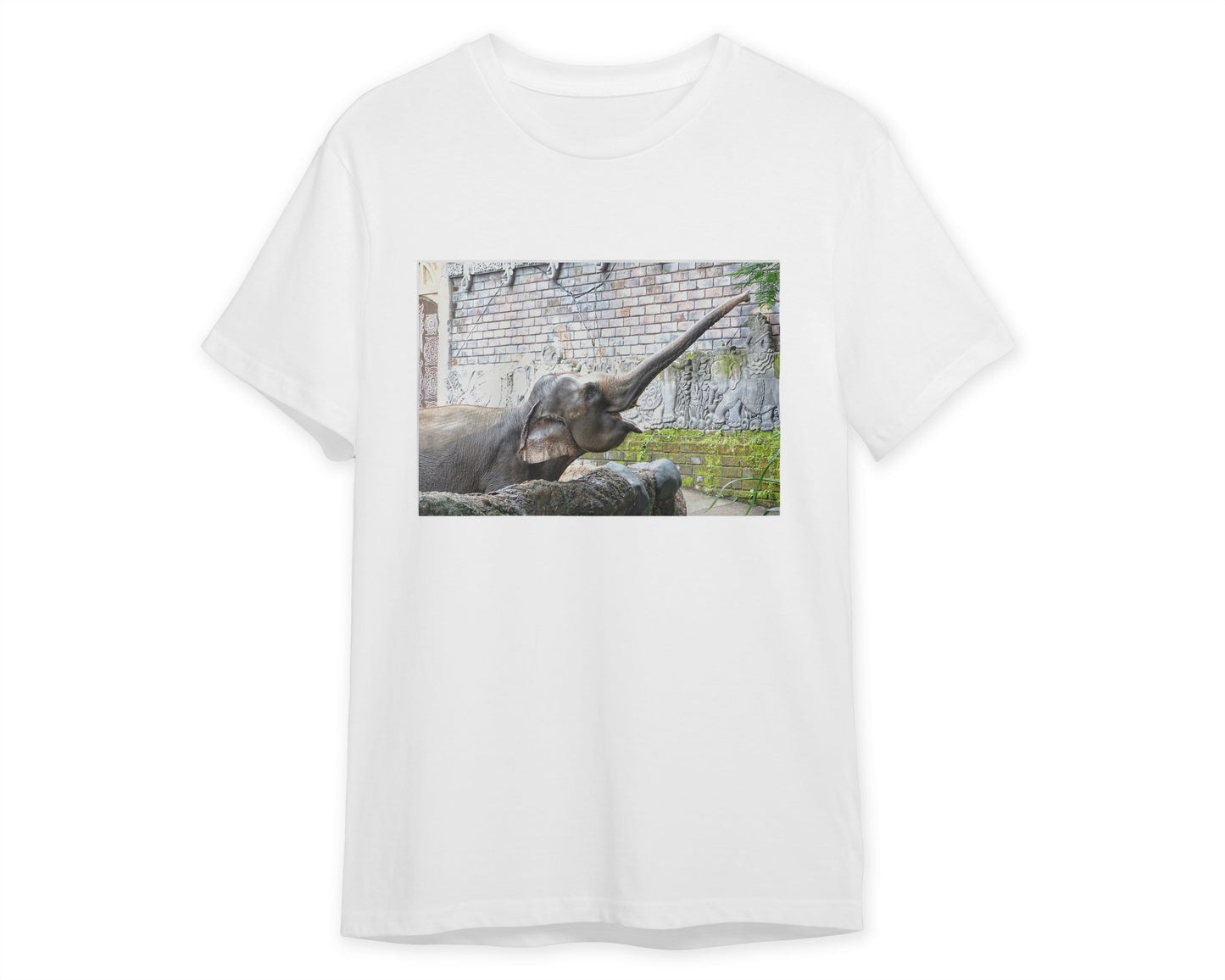 Animal 447 - @UPGallery