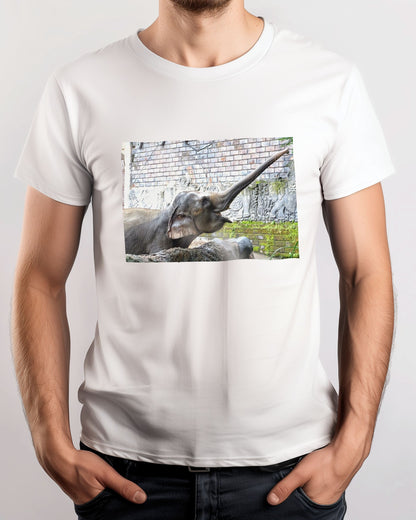 Animal 447 - @UPGallery