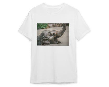 Animal 448 - @UPGallery