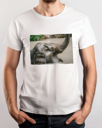 Animal 448 - @UPGallery