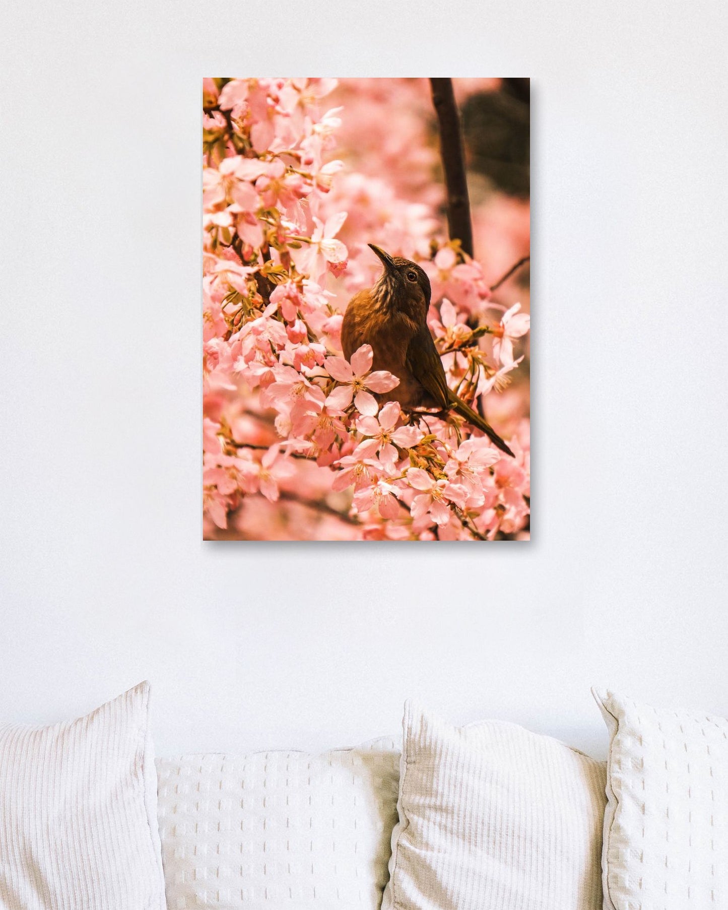 Animal 449 - @UPGallery