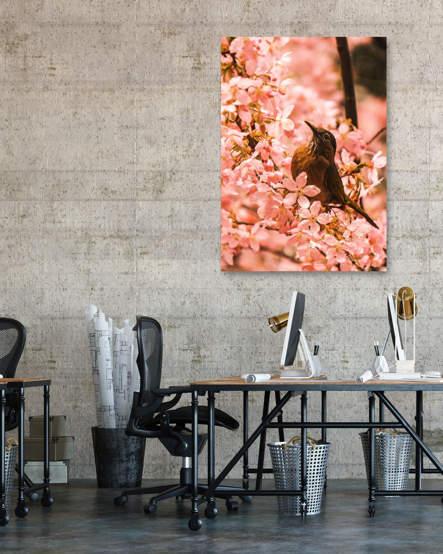 Animal 449 - @UPGallery