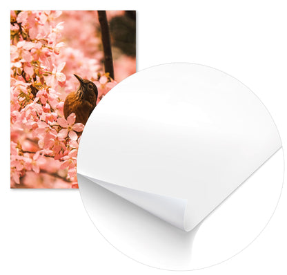 Animal 449 - @UPGallery