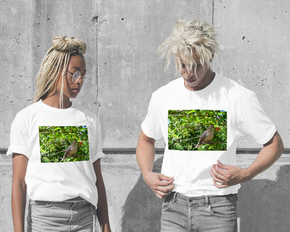 Animal 45 - @UPGallery