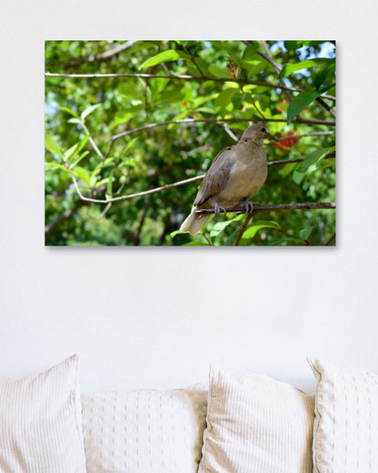 Animal 45 - @UPGallery