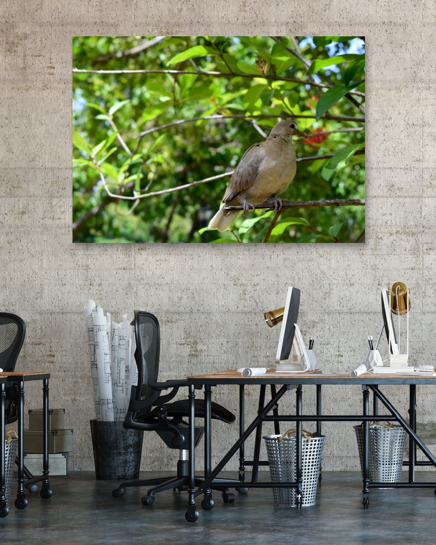 Animal 45 - @UPGallery