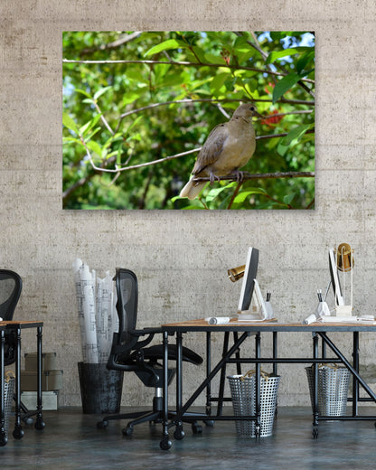 Animal 45 - @UPGallery