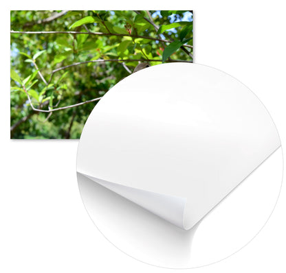 Animal 45 - @UPGallery