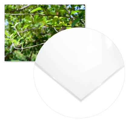 Animal 45 - @UPGallery