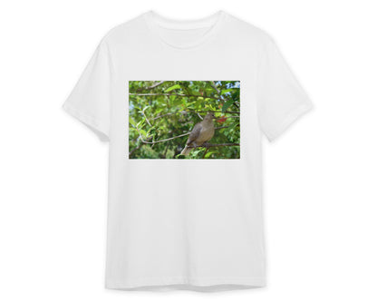 Animal 45 - @UPGallery