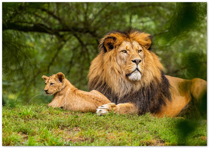 Animal 451 - @UPGallery