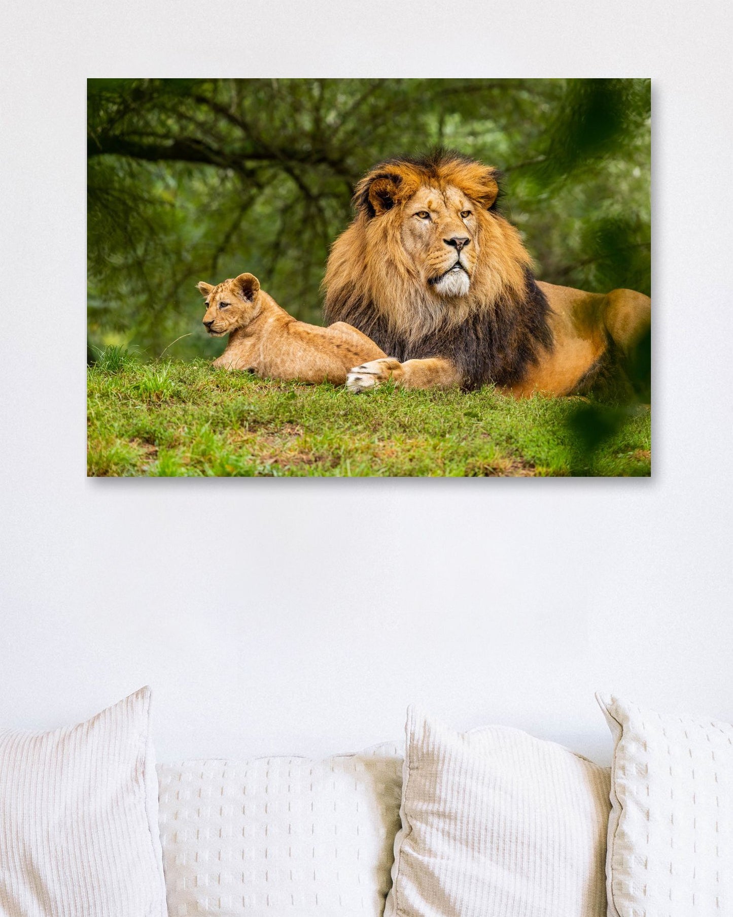 Animal 451 - @UPGallery