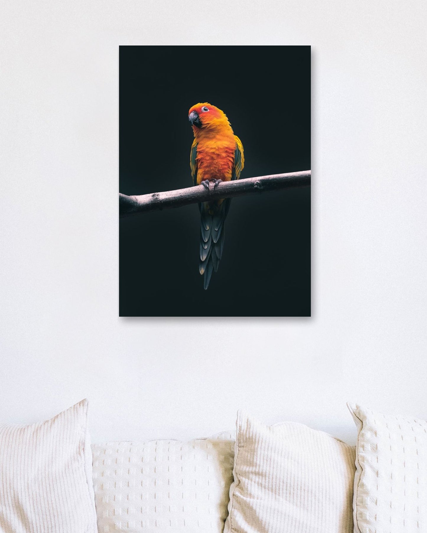 Animal 452 - @UPGallery